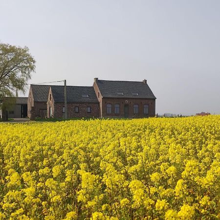 Spacious Holiday Home With Pond In Poperinge Roesbrugge-Haringe Exteriér fotografie