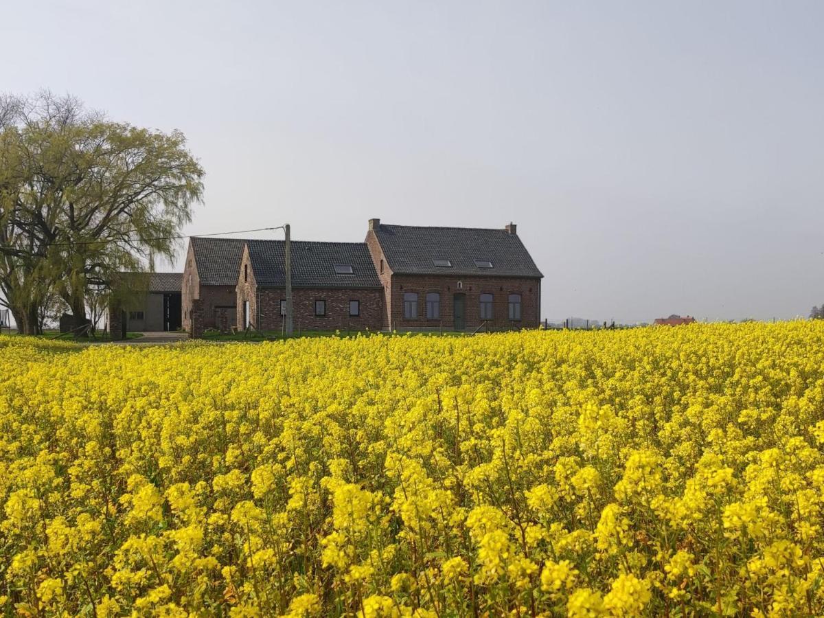 Spacious Holiday Home With Pond In Poperinge Roesbrugge-Haringe Exteriér fotografie